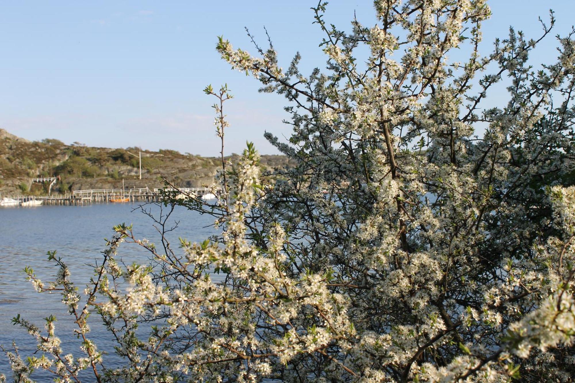 Tofta Herrgard Lycke Exterior foto